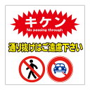 【私有地 通り抜けはご遠慮ください 看板】屋外 防水 プレート 板 プレート看板 プレートタイプ ステッカー シール サイン 表示 フェンス 柵 標示 注意 禁止 警告 通り抜け禁止 私有地につき 私道 立ち入り禁止 立入禁止 進入禁止 防犯カメラ作動中 監視カメラ 敷地内