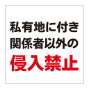 【私有地 関係者以外 侵入禁止 看板】屋外 防水 プレート 板 プレート看板 プレートタイプ ステッカー シール サイン 表示 フェンス 柵 標示 注意 禁止 警告 通り抜け禁止 私有地につき 私道 立ち入り禁止 立入禁止 進入禁止 防犯カメラ作動中 監視カメラ 敷地内