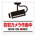 【防犯カメラ作動中 防犯カメラ 敷地内 私有地 看板】通り抜け禁止 私有地につき 私道 立ち入り禁止 立入禁止 進入禁止 監視カメラ 屋外 防水 プレート 板 プレート看板 プレートタイプ ステッカー シール サイン 表示 フェンス 柵 標示 注意 禁止 警告
