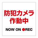 【私有地 敷地内 防犯カメラ作動中 看板】通り抜け禁止 私有地につき 私道 立ち入り禁止 立入禁止 進入禁止 監視カメラ 敷地内 屋外 防水 プレート 板 プレート看板 プレートタイプ ステッカー シール サイン 表示 フェンス 柵 標示 注意 禁止 警告