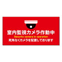 【 室内 監視カメラ作動中 防犯 看板 ※デザイン838番 】 誘導看板 屋外看板 プレート看板 ショッピングモール 商業施設 スーパー 病院 施設 ホテル コンビニ 案内看板 表示 マンション 屋外 ガレージ看板 駐車場看板 フェンス 防水 標識 パネル看板