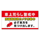 【 車上荒らし警戒中 暗視カメラ 看板 ※デザイン844番 】 誘導看板 屋外看板 プレート看板 ショッピングモール 商業施設 スーパー 病院 施設 ホテル コンビニ 案内看板 表示 マンション 屋外 ガレージ看板 駐車場看板 フェンス 防水 標識 パネル看板
