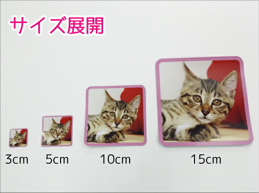 【15cm×15cm ペットシール】