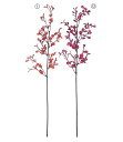 70cm ペパロミアスプレイ(126) [ONSLESP5537] |人工観葉植物 アートフラワー 造花 フラワー フェイクグリーン 資材 装飾 飾付 デコレーション 飾り イベント パーティー フラワーアレンジメント 花材 インテリア 店舗装飾 ディスプレイ 室内装飾 飾り付け 秋 スプレイ