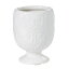 55XH7cm bella 100WHITE ִ ١ ִƫ ƫ [TDLCC240123-100] Բ|¤ ե ֻ ƫִ  ե󥸥 ƥꥢ  Ź ǥץ쥤 դ ǥ졼ȭ  ۥ磻