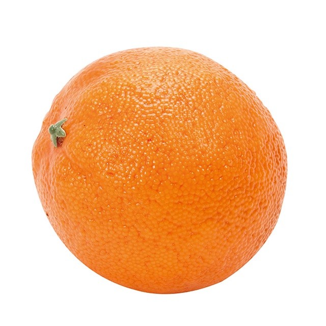 【スーパーセール特別割引商品】オレンジ ORANGE 造花 実もの 果物 野菜 パン 果物その他 [TDLFV003530] 代引決済不可