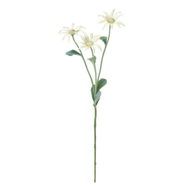 フランネルスプレー WHITE アーティフィシャルフラワー 造花 フラワー デージー フランネルフラワー [TDLFM008778]
