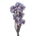 シルバーデージー ブルーパープル ドライフラワー [TDLDO032000-642] カラー アレンジメント花材 天然素材 ハンドメイド資材