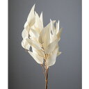 ウィロー　ユーカリ　オフホワイト　ドライフラワー　サラシ　[TDLDO016100-011] アレンジメント花材 天然素材 ハンドメイド資材