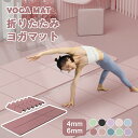 ガマット 6mm TPE 厚手 無臭 ヨガマット 滑りづらい ストレッチマット 筋トレ 宅トレ トレーニングマット エクササイズマット 滑り止め コンパクト ピ...