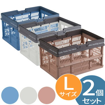 天馬 プロフィックス 折りたたみバスケット L 2個セット