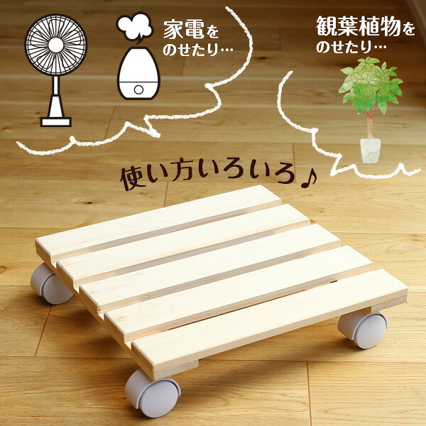 ��� �񻺥ҥΥ� ���㥹�����դ��Τ� �ѷ� �� ʿ��� 30cm ���� ȭ�� ���Υ� ���տ�ʪ ������� ���� ���� �ѥ�ȥ꡼ ������ ���������� ������ �ü��� �������