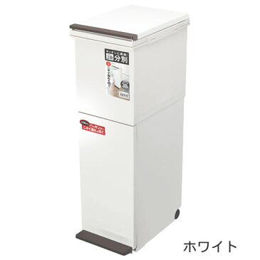 分別 ダストボックス ペダル ゴミ箱 2段 スリム 38L (パッキン付き)