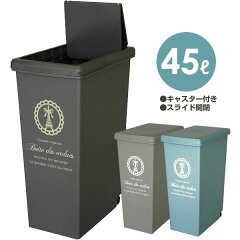 https://thumbnail.image.rakuten.co.jp/@0_mall/ra-beans/cabinet/g/slidepail45.jpg