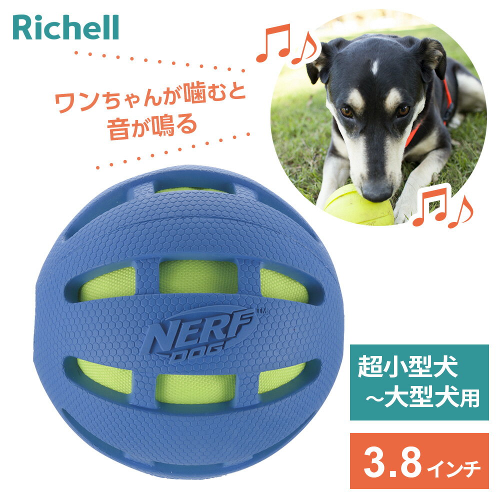 Rakuten - リッチェル 犬用 ボール 音が鳴る ナーフドッグ チェッククランチボール 3.8i ｜ 玩具 犬 ボール 遊び 取ってこい遊び ペット 取って来い 運動 おもちゃ 小型犬 中型犬 大型犬 遊具