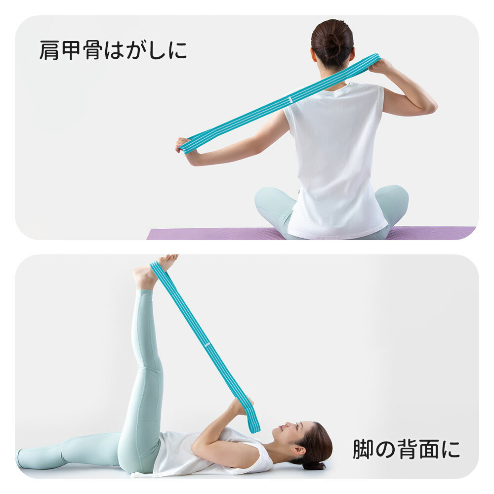 Ulrech�ʥ���å��� ��륹�ȥ�å��Х�� �ߥ�� AP-626411 �� ���ȥ�å��Х�� ��ȥ� �ڥȥ� ���ȥ�å� ���塼�� ���� �� �� ���ù� ���ޤ�� ���� ���� ���� ������������ ��ñ