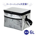 ソフトクーラーバッグ アルミ 6L | 保冷バッグ 保冷剤ポケット付き 折りたたみ 350ml缶×8本 レジャー 運動会 ピクニック キャンプ コンパクト シンプル 定番