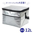 ソフトクーラーバッグ アルミ 12L | 保冷バッグ 保冷剤ポケット付き 折りたたみ 500ml缶×12本 レジャー 運動会 ピクニック キャンプ コンパクト シンプル 定番