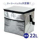 ソフトクーラーバッグ アルミ 22L | 保冷バッグ 保冷剤ポケット付き 折りたたみ 2Lペットボトル×6本 レジャー 運動会 ピクニック キャンプ 大容量 シンプル 定番
