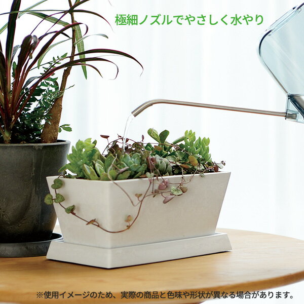 ��å����� �庹�� ���졼�� �饦��ɥԥå��㡼 1L ���٤륫�顼 �� ���礦�� �ԥå��㡼 ���祦�� ���տ�ʪ �٥����ڱ� �����ǥ˥� ����