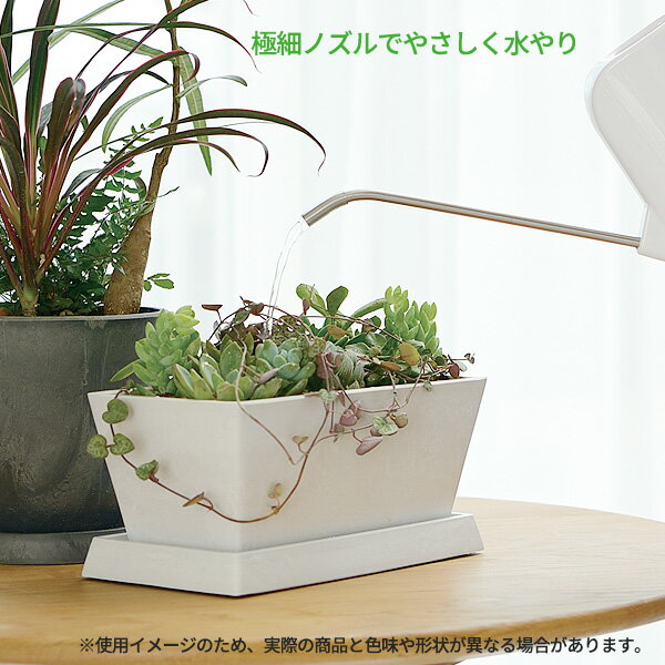 ��å����� �庹�� ���졼�� �쥯���󥰥�ԥå��㡼 1L ���٤륫�顼 �� ���礦�� �ԥå��㡼 ���祦�� ���տ�ʪ �٥����ڱ� �����ǥ˥� ���� ����