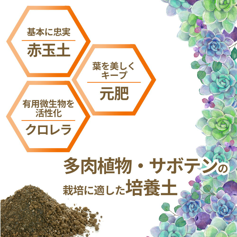 リッチェル 培養土 クロレラの恵みR 多肉とサボテンの土 1L ｜ サボテン 多肉植物 ...