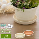【本日20時~4時間限定ポイント5倍】リッチェル 植木鉢 受け皿 ひよっこ プレート 5号 ブラウン / ベージュ | 鉢 ソーサー プランター用 下皿 園芸 観葉植物 鉢植え ガーデニング プラスチック 軽い 鉢植え SDGs アップサイクル