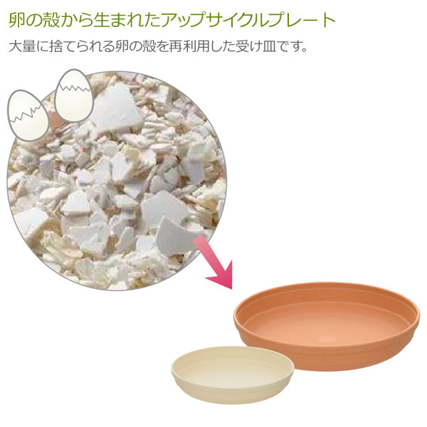 リッチェル 植木鉢 受け皿 ひよっこ プレート 8号 ブラウン / ベージュ ｜ 鉢 ソー...