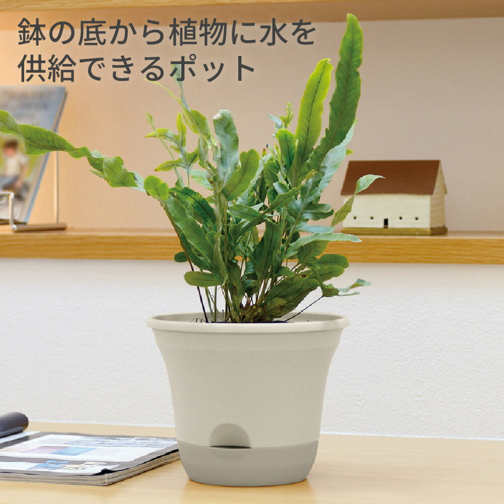 リッチェル ウルオ ポット 30型N ダークブラウン/ベージュ ｜ 植木鉢 鉢 プランタ...