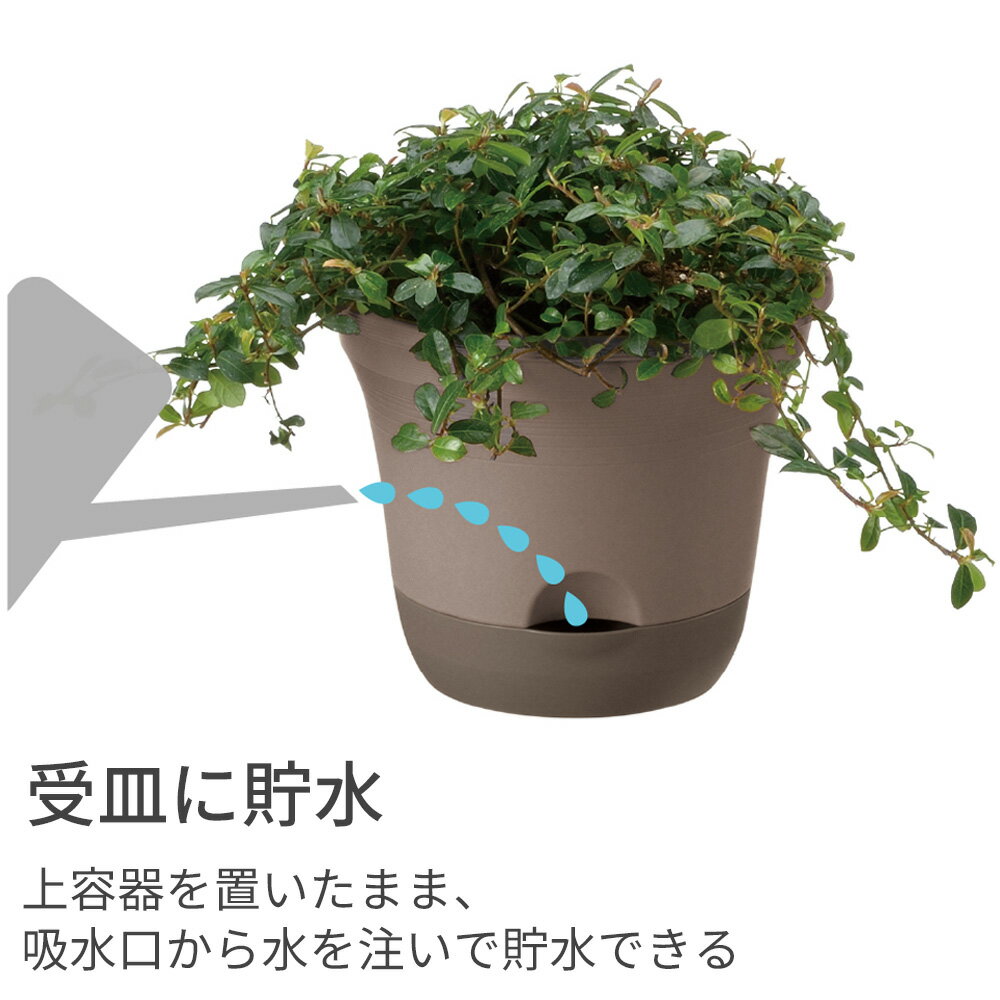 リッチェル ウルオ ポット 30型N ダークブラウン/ベージュ ｜ 植木鉢 鉢 プランタ...