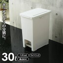 ゴミ箱 エバン ペダルペール 30L ホワイト ｜ キッチン ごみ箱 白 ペダル式 おしゃれ 台所 ペール ダストボックス 足踏み フタ付き 蓋 ふた