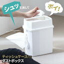 花粉症ゴミ箱 ティッシュケース付ダストボックス | ごみ箱 ティッシュ 一体 鼻水 鼻炎 日本製 シンプル 仕切り付き 白 ホワイト 介護 寝室 車 こたつ