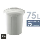 ゴミ箱 ベルクペール フタ付き セット 90L 丸型 ライトグレー | 業務用 ごみ箱 大容量 屋外 ポリバケツ 日本製 大型 プラスチック ダストパン ストッカー