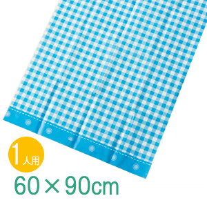 レジャーシート レジャーシート S 60×90cm ギンガムチェック(ボタン) | ピクニックシート 遠足マット 子供用 ギンガムチェック