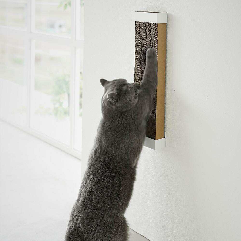 ����¶� nooks �̡����� �Ф����ܡ������б���������ǭ���ޤȤ��ۥ���� �ۥ磻�� 4096 / �֥�å� 4097