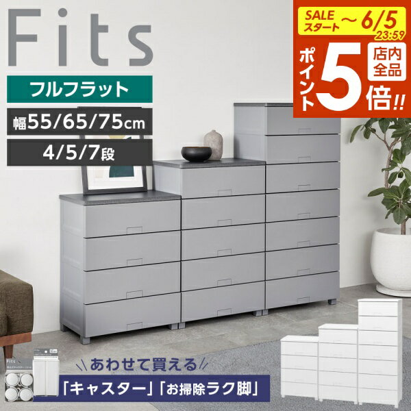 楽天市場】フィッツ プラス 6 段の通販
