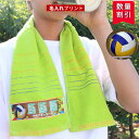 \1枚~ おしゃれ 名入れ / スポーツタオル 名入れタオル スポーツ 【 サッカー バスケ 野球 マフラー 名入れタオル 19×98cm 4color】 中学...