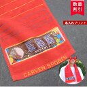 \1枚〜 おしゃれ 名入れ / スポーツタオル 名入れ サッカー 野球 バスケ バレー 【 マフラー チーム タオル 19×98cm 4color】 中学生 名...