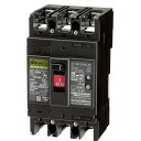 (6/15は抽選で100%P還元)日東工業 GE403A3P300AF30H 漏電ブレーカ・経済形 NITO