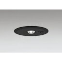 オーデリック OR036317K1 非常灯 ハロゲン13W相当 埋込型 昼白色 ブラック 点検用リモコン別売 ODELIC