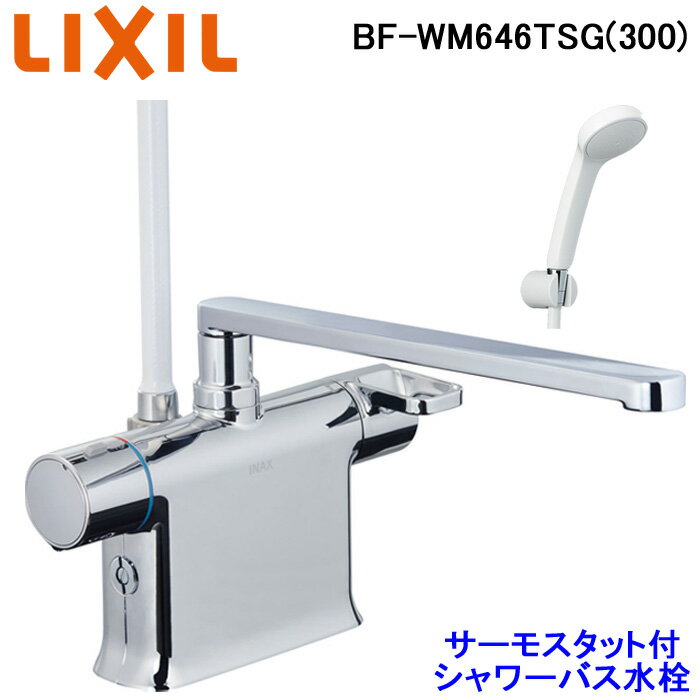 LIXIL(リクシル)INAX プッシュワンウェイ排水栓 密閉フタ B21-SVAR2