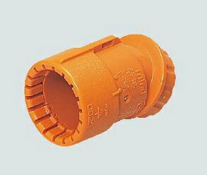 (LINEݥͭ)̤蹩 CNK-28G ʤꥳͥ(30) CD(10)