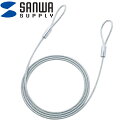 (5/15は抽選で100%P還元)サンワサプライ SLE-8W-2N eセキュリティ(2.0M4.6mm)(2)