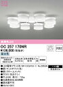 (LINEクーポン有)(送料無料) ODELIC OC257170NR シャンデリア LEDランプ 昼白色 非調光 オーデリック