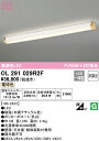 (LINEクーポン有)(送料無料) ODELIC OL291029R2F キッチンライト LED一体型 電球色 非調光 オーデリック