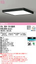 (5/1は抽選で100%P還元)(送料無料) ODELIC OL291513BR シーリングライト LED一体型 電球色〜昼光色 Bluetooth対応 オーデリック(3)