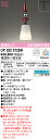 (LINEクーポン有)(送料無料) ODELIC OP252572BR ペンダントライト LEDランプ 電球色~昼光色 Bluetooth対応 オーデリック