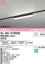 (LINEクーポン有)(送料無料) ODELIC OL291572R2B ベースライト LEDユニット 昼白色 非調光 オーデリック