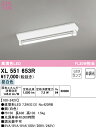 (LINEクーポン有)(送料無料) ODELIC XL551653R ベースライト LEDランプ 昼白色 非調光 オーデリック