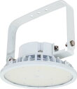 (LINEクーポン有)(送料無料) 日動工業 L150B-P-H110-50K 電源内蔵 ハイディスク150 NICHIDO